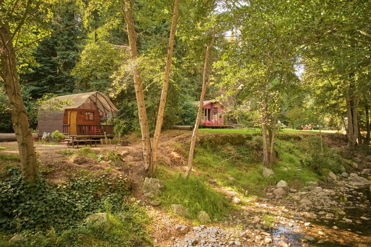 Big Sur Campground And Cabins Extérieur photo