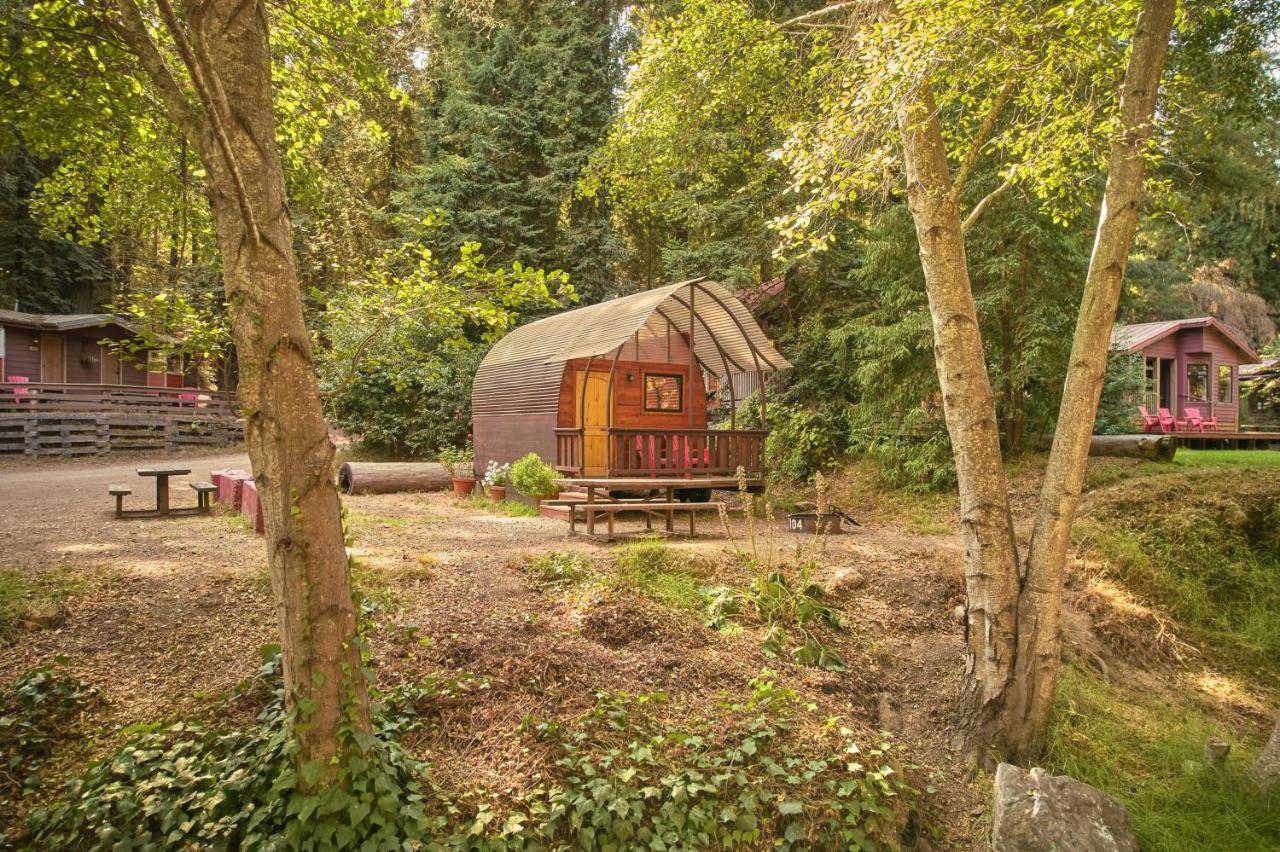 Big Sur Campground And Cabins Extérieur photo